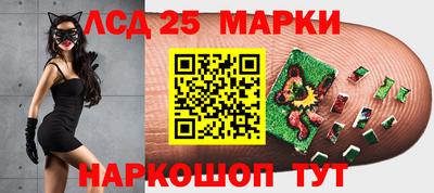 молекула духа Новозыбков