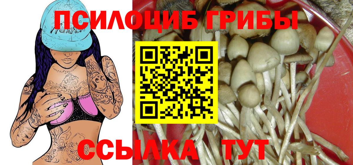 сколько стоит  Псилоцибиновые грибы Cubensis  Галлюциногенные грибы прущие грибы  Вход с VPN  Бугуруслан 