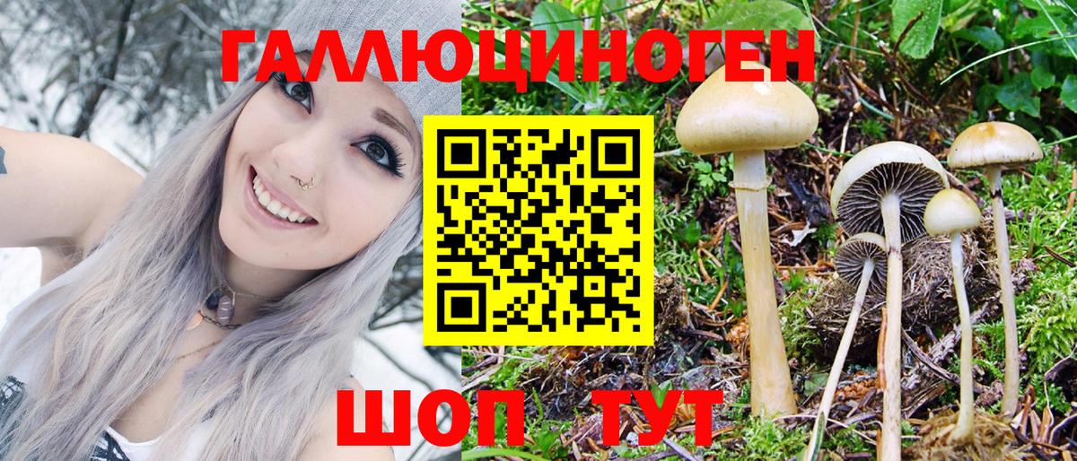 Псилоцибиновые грибы Cubensis Бугуруслан